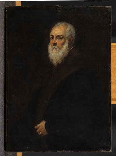 Retrato de um homem barbudo, depois de Jacopo Tintoretto de David Teniers the Younger