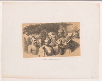Germânicos holandeses
Germânicos holandeses (título sobre o objecto) de David van der Kellen