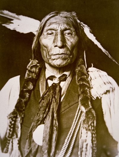 Manto de Lobo (nascido em 1841) 1909 (foto em preto e branco) de DeLancey W. Gill