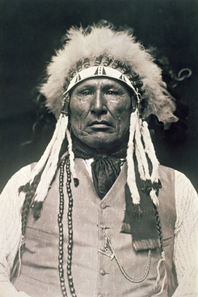 Perna de madeira, guerreiro do Northern Cheyenne que lutou na Batalha de Little Bighorn em 1876 de DeLancey W. Gill
