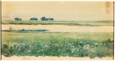 (Paisagem com pântanos) de De Lancey Gill