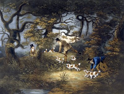 Tiro, placa 1, gravada por R.G. Reeve de Dean Snr. (after) Wolstenholme