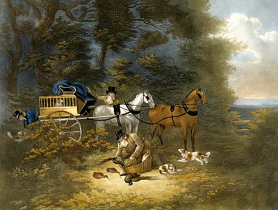 Tiroteio, placa 4, gravado por R.G. Reeve de Dean Snr. (after) Wolstenholme