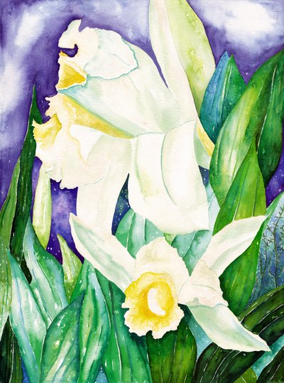 Orquídeas nocturnas, 2007 (aguarela) de Deborah Eve Alastra