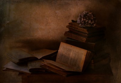 Livros do género «Dark Academia» de Delphine Devos