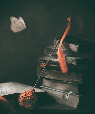 Borboleta «Dark Academia» de Delphine Devos
