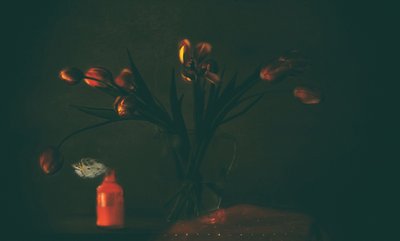 Tulipas escuras e melancólicas de Delphine Devos