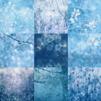 Botanicals Azul Sonhador de Delphine Devos