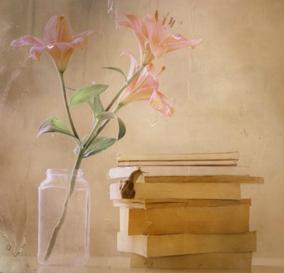 Lírios de Sonho – Livros do Caracol de Delphine Devos