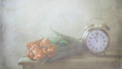 Tulipas de Sonho e o Tempo de Delphine Devos