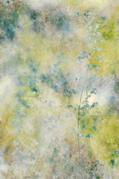 Flores em aquarela de sonho de Delphine Devos