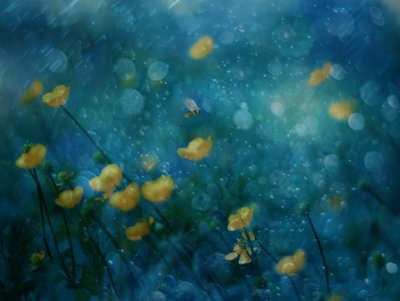 Flores amarelas de sonho de Delphine Devos