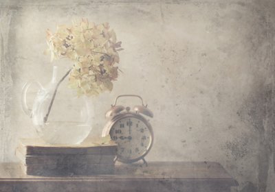 Flores secas e um relógio antigo de Delphine Devos