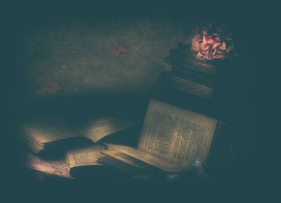 Livros de Estudo Encantados de Delphine Devos