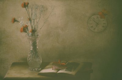 Flores Murchas e o Tempo de Delphine Devos