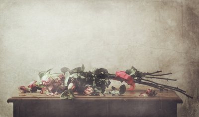 Natureza morta com rosas murchas de Delphine Devos
