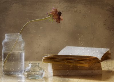 Flor melancólica e livro de Delphine Devos