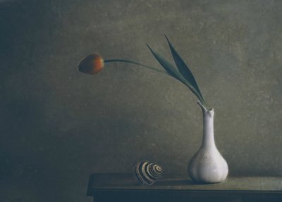 Natureza morta com tulipas melancólicas de Delphine Devos