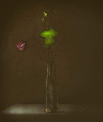 Flores e Folhas Serenas de Delphine Devos