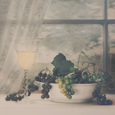 Uvas e Vinho Rústicos de Delphine Devos