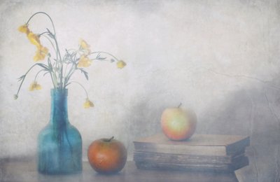Flores Serenas, Maçãs, Livros de Delphine Devos
