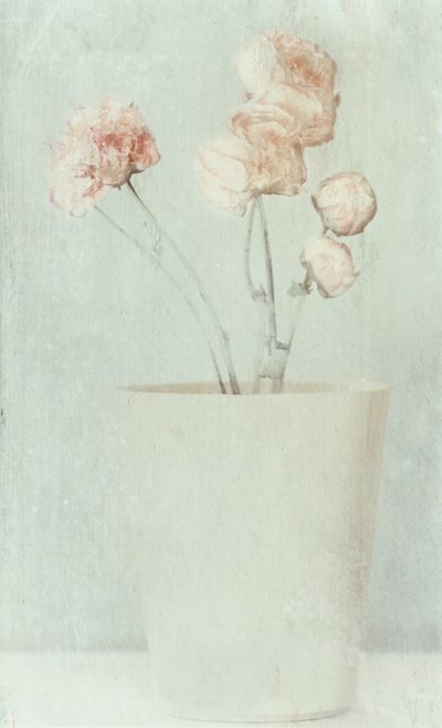 Flores com tons suaves e desbotados de Delphine Devos
