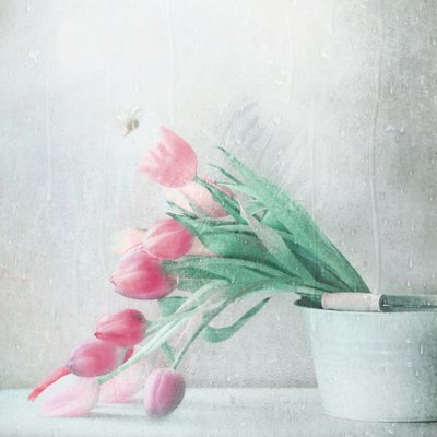  de Delphine Devos