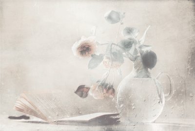 Rosas Suaves – Livro Aberto de Delphine Devos