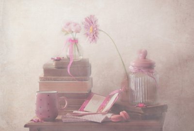 Conforto em Rosa Suave de Delphine Devos