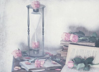 Rosas e livros intemporais de Delphine Devos