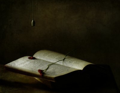 Livro vintage com rosas secas de Delphine Devos