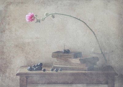 Livros Vintage e Bloom de Delphine Devos
