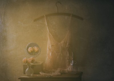 Lingerie Vintage Boudoir de Delphine Devos