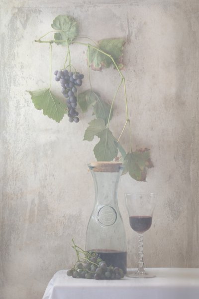 Natureza morta com uvas vintage e vinho de Delphine Devos
