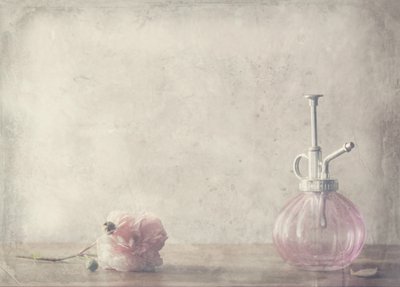 Perfume «Vintage Pink Rose» de Delphine Devos