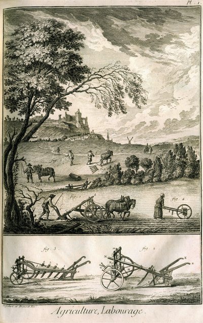 Trabalho de campo - Agricultura, semeadura, aração. Vários modelos de rolos e arados: Placa de um volume de ilustrações da Encyclopédie de Diderot, edição original 1762 de Denis Diderot
