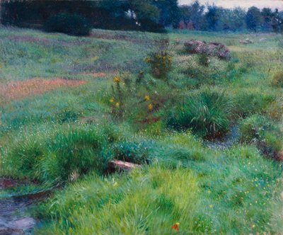 The Brook em Medfield de Dennis Miller Bunker