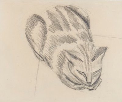 Gato dormindo (lápis no papel) de Denton Welch
