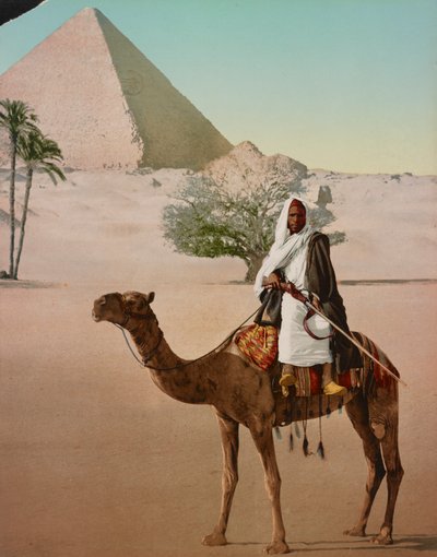 Beduíno em um camelo e a Grande Pirâmide, Cairo, Egito de Detroit Photographic Co.