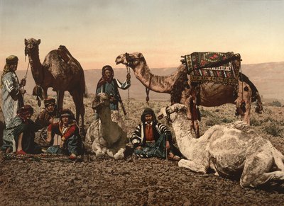 Camelos parando no deserto, Terra Santa, c.1890 (impressão fotomecânica) de Detroit Photographic Co.