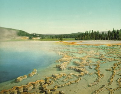Associação da safira, parque nacional de Yellowstone, c.1902 (photochrom) de Detroit Photographic Co.