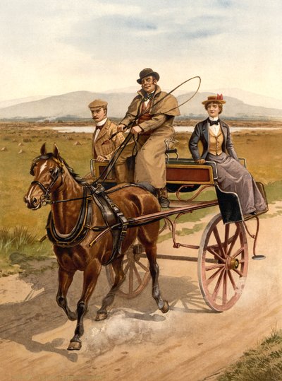 Carro de passeio irlandês, c.1890 de Detroit Publishing Co.