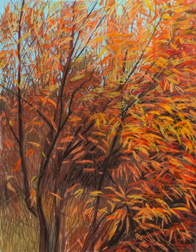Salgueiro vermelho 1a, 2021 (pastel sobre papel) de Diana Jahns