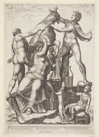 Amphion e Zethos amarram Dirke a um touro selvagem de Diana Scultori