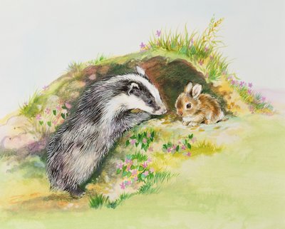 Texugo e um coelho de Diane Matthes