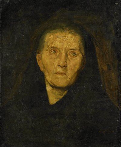 A viúva de luto de Diederik Franciscus Jamin