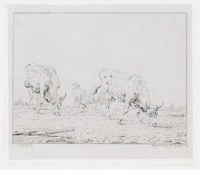 Vacas de pasto de Diederik Jan Singendonck