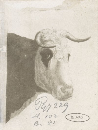 Cucu de Diederik Jan Singendonck