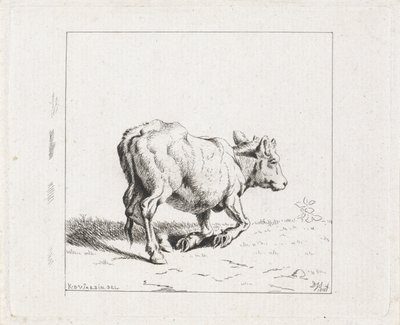 Bezerro subindo de Diederik Jan Singendonck