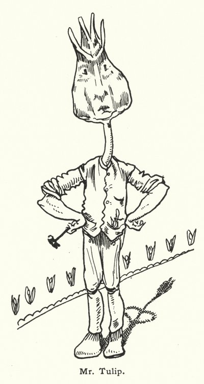 Mr Tulip de Dion Clayton Calthrop